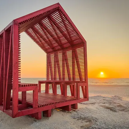 House With Pool And Garden In Near Porto Esmoriz