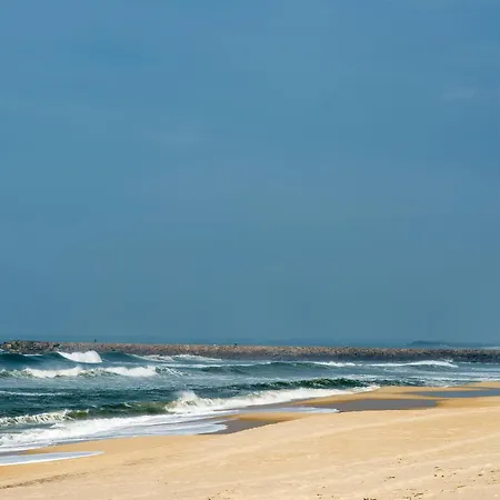 Tatil Evi House With Pool And Garden In Near Porto Esmoriz