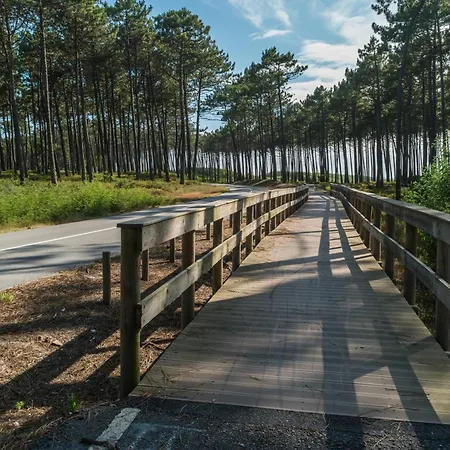 Tatil Evi House With Pool And Garden In Near Porto