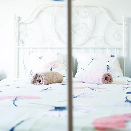 House With Pool And Garden In Near Porto