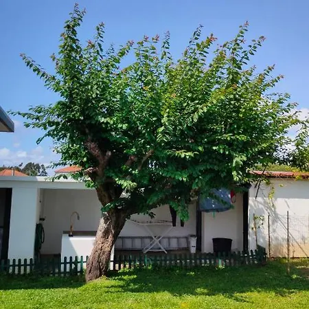 House With Pool And Garden In Near Porto