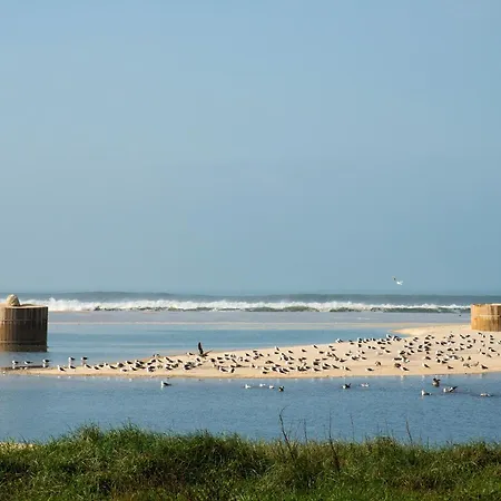 House With Pool And Garden In Near Porto * Esmoriz