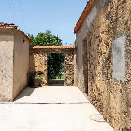 House With Pool And Garden In Near Porto * エスモリス