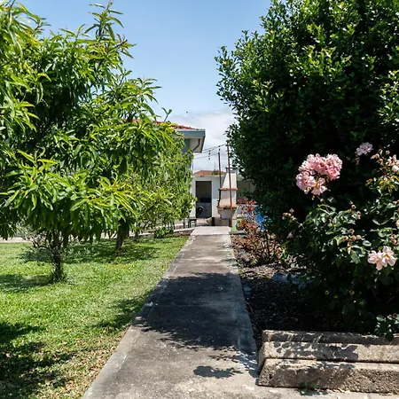 House With Pool And Garden In Near Porto Holiday home