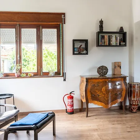 House With Pool And Garden In Near Porto Esmoriz