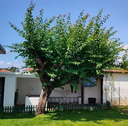 House With Pool And Garden In Near Porto