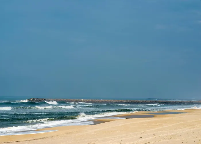 Casa vacanze House With Pool And Garden In Near Porto Esmoriz