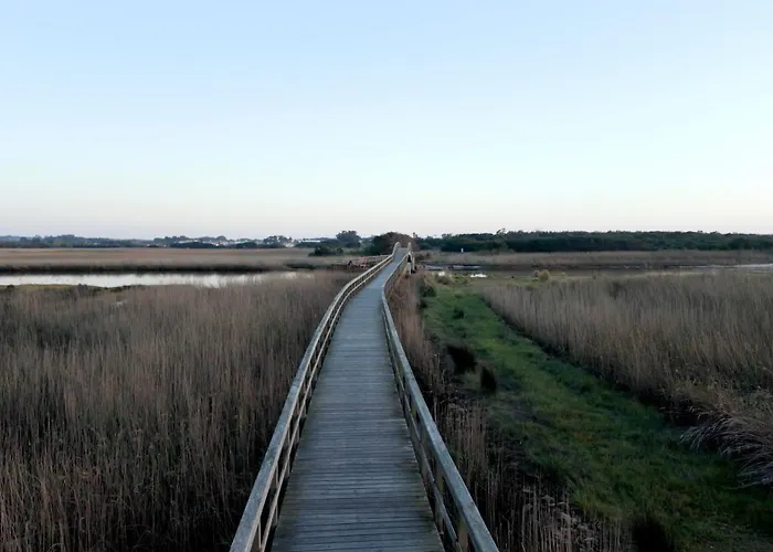 House With Pool And Garden In Near Porto *