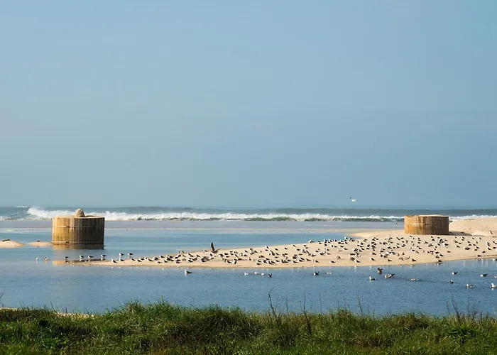 House With Pool And Garden In Near Porto * Esmoriz