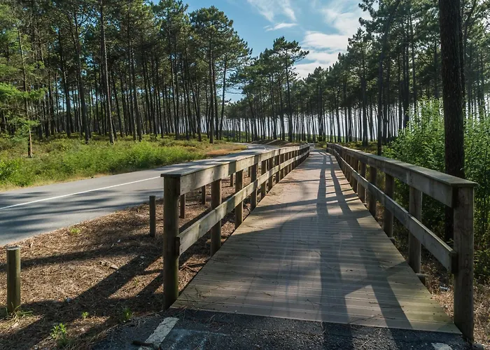 Casa vacanze House With Pool And Garden In Near Porto