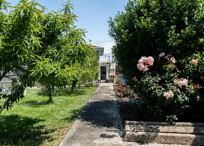 House With Pool And Garden In Near Porto Casa vacanze